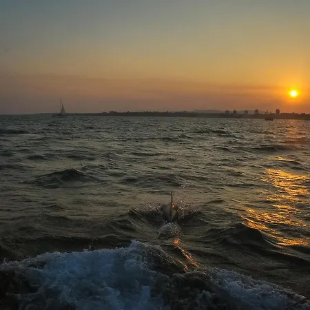 Paradiso 'b' 108 Private Cozy Apartment